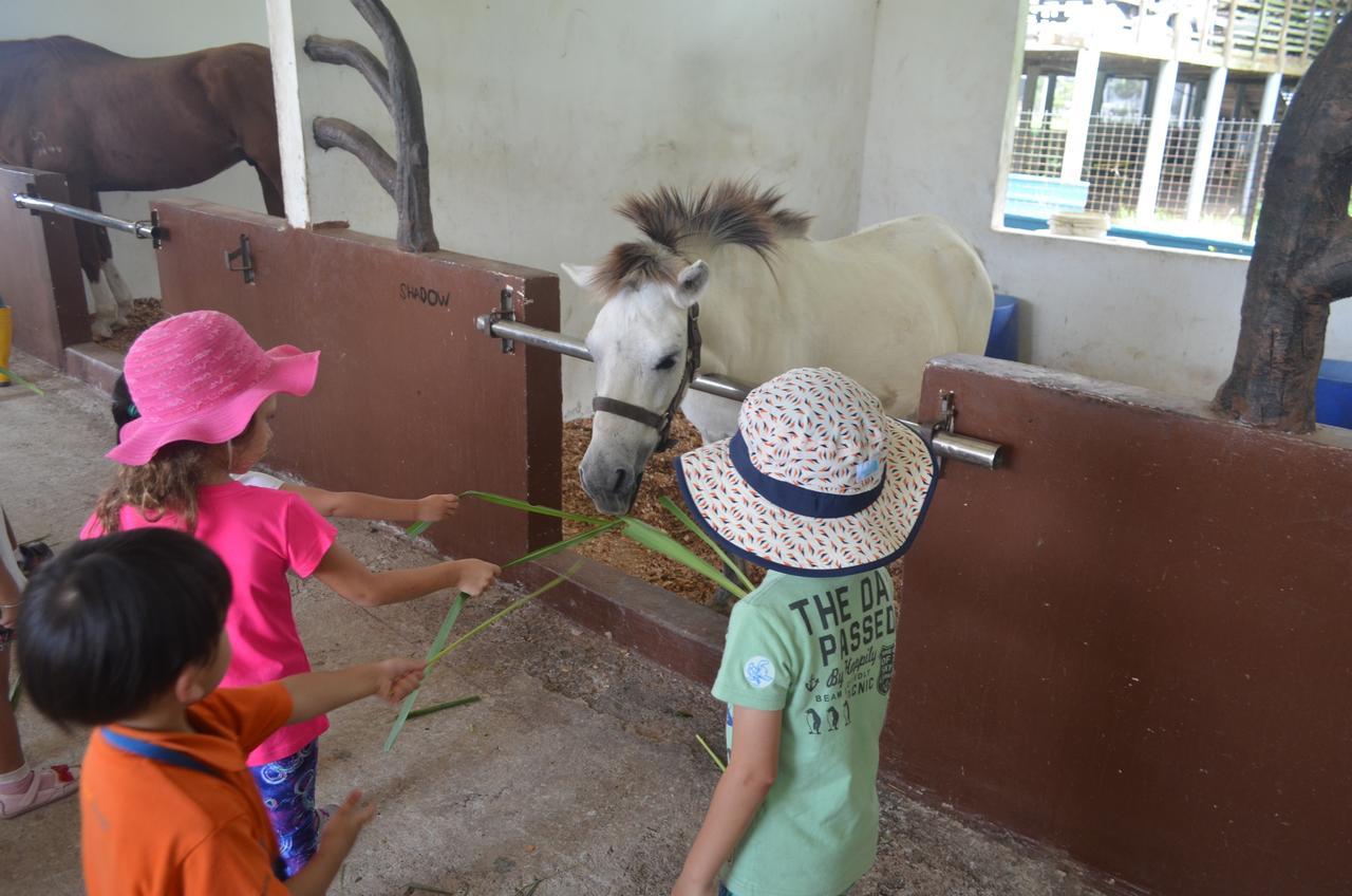 Sinar Eco Resort Kampong Bukit Panjang ภายนอก รูปภาพ