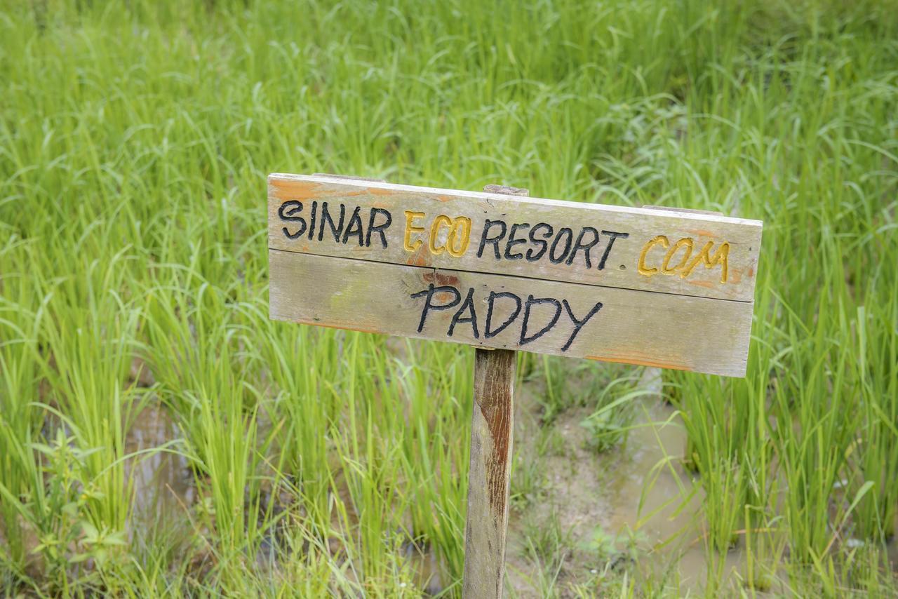 Sinar Eco Resort Kampong Bukit Panjang ภายนอก รูปภาพ