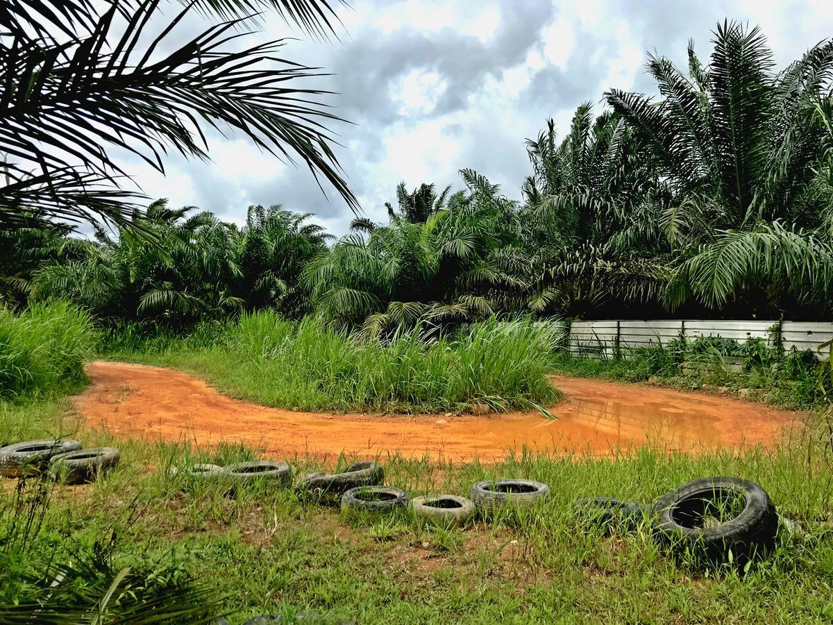 Sinar Eco Resort Kampong Bukit Panjang ภายนอก รูปภาพ